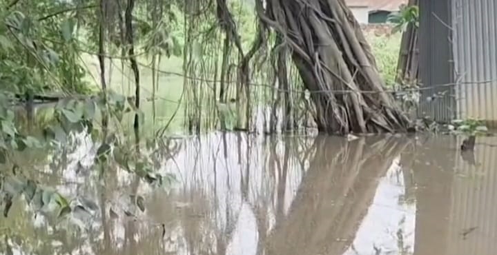 রূপগঞ্জে খালের সাথে নেই শীতলক্ষ্যা নদীর সংযোগ