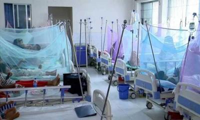 ডেঙ্গুতে ২৪ ঘণ্টায় ৫ জনের মৃত্যু, হাসপাতালে ১১৩৯