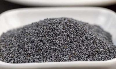 ‘পাখির খাদ্য’ বলে পাকিস্তান থেকে আনা হলো নিষিদ্ধ পপি বীজ